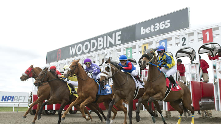 Toronto, ON April 26, 2025 Woodbine Racetrack. Thoroughbred's break from the starting gate 1st race of the 128 day meet.