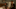 WATCHER_102_Unit_02197RC