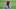 Todd Bowles