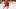 Detroit Red Wings right wing Alex DeBrincat Detroit Red Wings right wing Alex DeBrincat