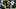 Green Bay Packers defensive end Lukas Van Ness (90) sacks Dallas Cowboys quarterback Dak Prescott. Green Bay Packers defensive end Lukas Van Ness (90) sacks Dallas Cowboys quarterback Dak Prescott.