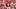 Arkansas Razorbacks JACK linebacker Charlie Collins Arkansas Razorbacks JACK linebacker Charlie Collins