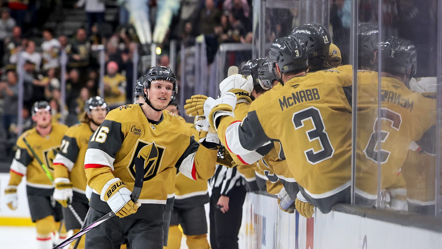 Exquisite Will Pavel Dorofeyev Score A Goal Vs. The Utah Mammoth On April 27? Abstract for Mobile