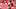 St. Louis Cardinals pitcher Quinn Matthew St. Louis Cardinals pitcher Quinn Matthew