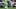  Seattle Sounders