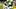 Oregon Ducks players wear white and green uniforms. Oregon Ducks players wear white and green uniforms.
