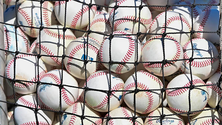 Feb 16, 2024; Mesa, AZ, USA; General view of baseballs during a Spring Training workout at Hohokum stadium. Mandatory Credit: Matt Kartozian-Imagn Images