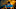 rev-1-SPMN-TRL1-011_High_Res_JPEG