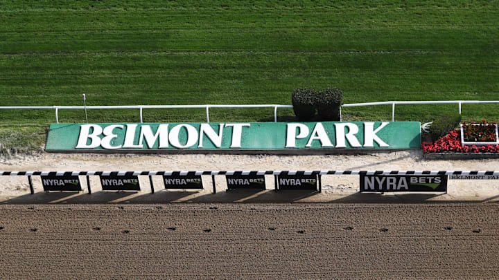 150th Belmont Stakes - Previews