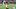 Jacory Croskey-Merritt, Washington Commanders, 2026 Fantasy Football