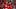 St. Louis Cardinals right fielder Jordan Walker and designated hitter Ivan Herrera St. Louis Cardinals right fielder Jordan Walker and designated hitter Ivan Herrera