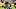 Pittsburgh Steelers cornerback Doneiko Slaughter