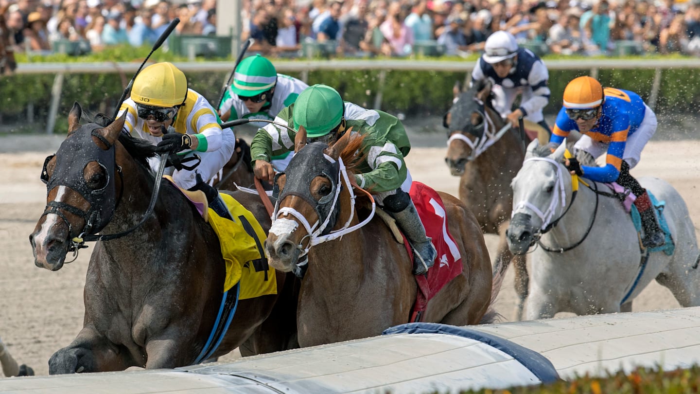 Gulfstream’s 13th Race: Grade 1 Pegasus World Cup