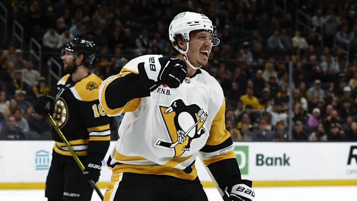 Nov 29, 2024; Boston, Massachusetts, USA; Pittsburgh Penguins right wing Rickard Rakell (67) celebrates his goal as Boston Bruins center Pavel Zacha (18) skates away during the second period at TD Garden. Mandatory Credit: Winslow Townson-Imagn Images