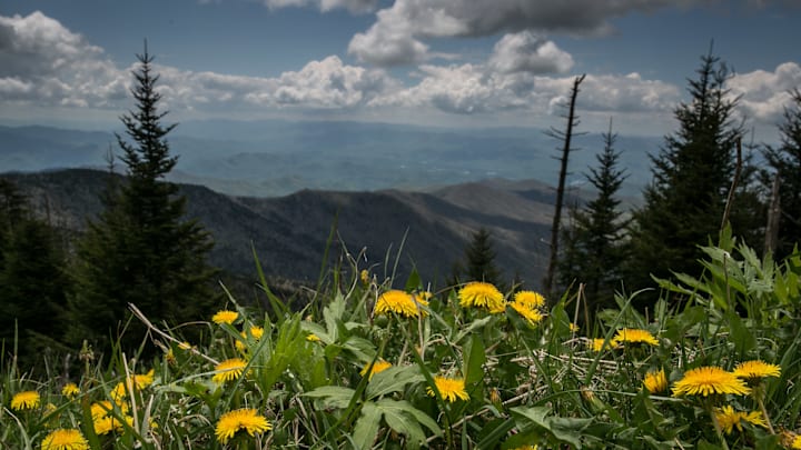 Exploring Great Smoky Mountains National Park