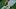 Packers RB Marshawn Lloyd has been flying up draft boards as a 2026 Fantasy Football Riser Packers RB Marshawn Lloyd has been flying up draft boards as a 2026 Fantasy Football Riser