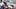 New York Giants tight end Chris Manhertz New York Giants tight end Chris Manhertz