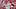 Andrew Painter - Philadelphia Phillies Andrew Painter - Philadelphia Phillies