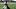 Dalton Schultz, Houston Texans, 2026 Fantasy Football Dalton Schultz, Houston Texans, 2026 Fantasy Football