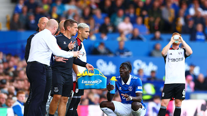 Everton FC v Fulham FC - Premier League