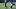 New York Giants quarterback Jaxson Dart New York Giants quarterback Jaxson Dart