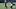 New York Giants QB Jaxson Dart New York Giants QB Jaxson Dart