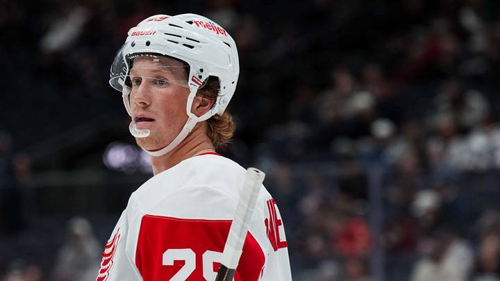 Sep 21, 2026; Columbus, Ohio, USA;  Detroit Red Wings forward Nate Danielson (29) skates against the Columbus Blue Jackets in the second period at Nationwide Arena. Mandatory Credit: Aaron Doster-Imagn Images
