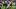 Southern Miss Football Southern Miss Football