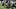 Southern Miss Football Southern Miss Football