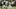 Southern Miss Football, Robert Briggs Southern Miss Football, Robert Briggs