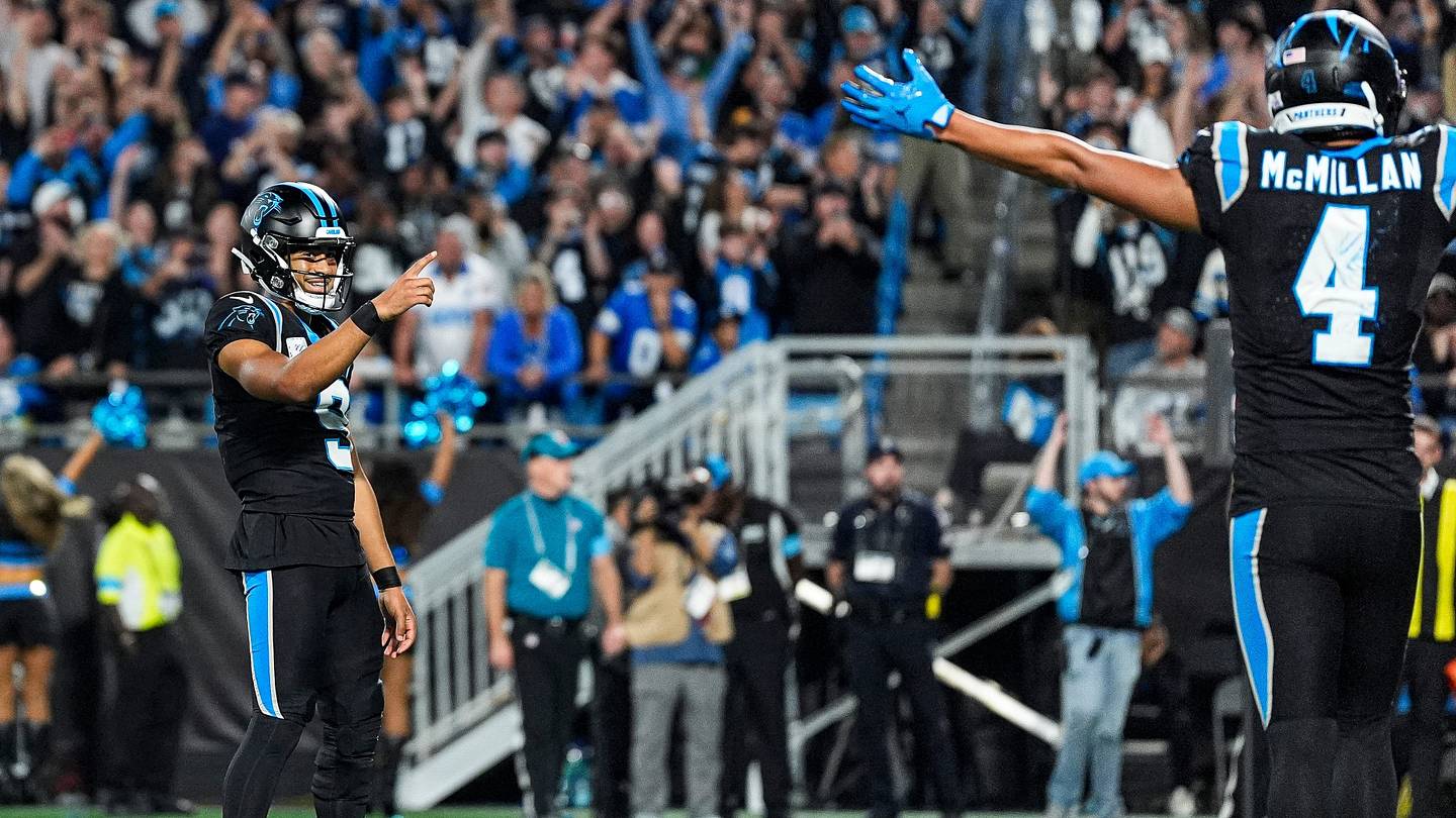 Panthers PFF Grades Paint Clear Picture of Where Changes Are Needed