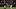 Milwaukee Brewers left fielder Jackson Chourio and second baseman Brice Turang Milwaukee Brewers left fielder Jackson Chourio and second baseman Brice Turang