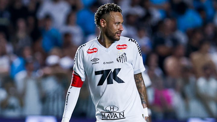 Santos v Palmeiras - Brasileirao 2025