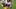 LSU tight end Zach Grace LSU tight end Zach Grace