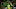 Oregon quarterback Bo Nix throws a pass during the first half against Stanford in 2022 Oregon quarterback Bo Nix throws a pass during the first half against Stanford in 2022