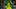 Former Oregon quarterback Bo Nix
