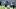 nfl nfl