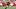 Fantasy Football, Tucker Kraft, Green Bay Packers Fantasy Football, Tucker Kraft, Green Bay Packers