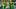 oregon ducks wide receiver evan stewart dakorien moore tight end andrew olesh portland state vikings dylan raiola dan lanning