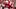 Nebraska offensive tackle Gunnar Gottula could be part of a rebuilt Husker offensive line in 2026. Nebraska offensive tackle Gunnar Gottula could be part of a rebuilt Husker offensive line in 2026.