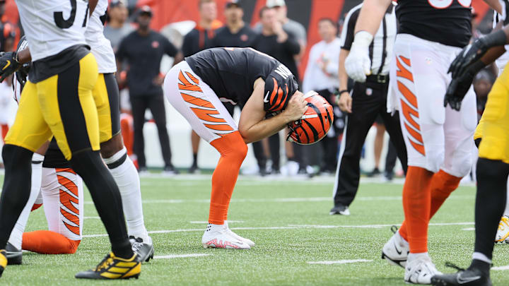 Pittsburgh Steelers v Cincinnati Bengals