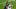 Brady Russell Seattle Seahawks New England Patriots Super Bowl LX Deion Sanders Colorado Buffaloes Pac-12 Brady Russell Seattle Seahawks New England Patriots Super Bowl LX Deion Sanders Colorado Buffaloes Pac-12