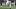 Wake Forest Demon Deacons running back Ty Clark III and quarterback Robby Ashfor