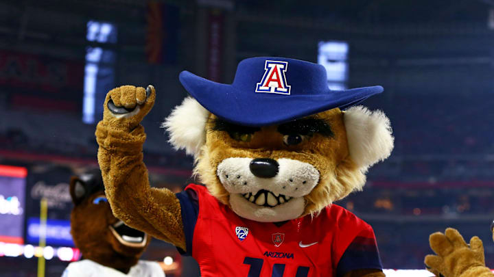Dec 31, 2014; Glendale, AZ, USA; Arizona Wildcats mascot Wilbur the Wildcat against the Boise State Broncos in the 2014 Fiesta Bowl at Phoenix Stadium. Mandatory Credit: Mark J. Rebilas-Imagn Images