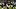 Chicago Bears running back Kyle Monangai fantasy football