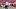 Tampa Bay Buccaneers quarterback Jalon Daniels