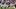 Nicholas Singleton, Tennessee Titans, 2026 Fantasy Football