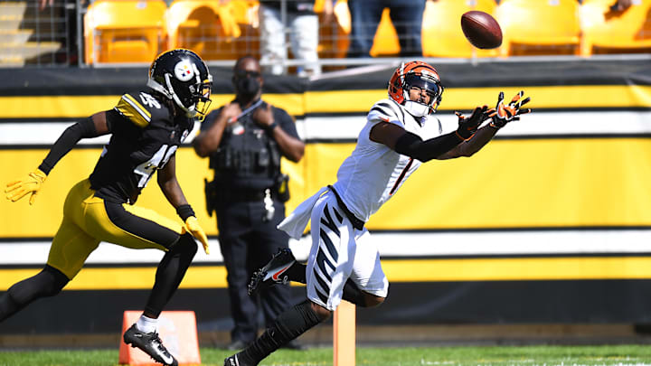 Cincinnati Bengals v Pittsburgh Steelers
