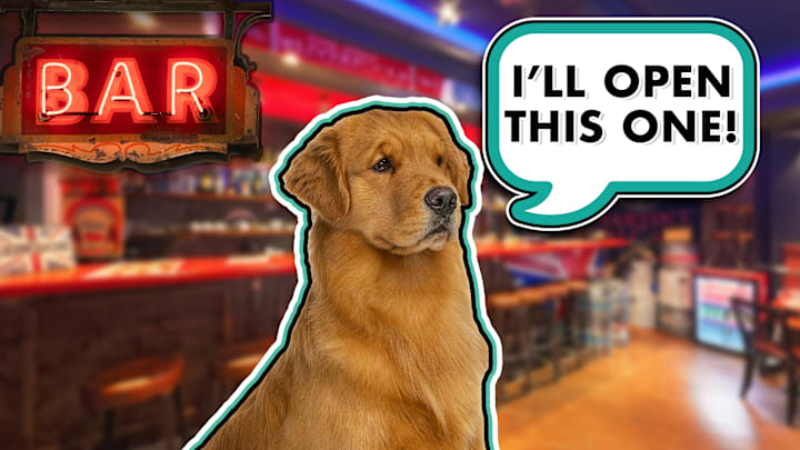 A 4000-year-old dog walks into a 4000-year-old bar ... / AevanStock, Master1307, and saoirse2013, via Shutterstock