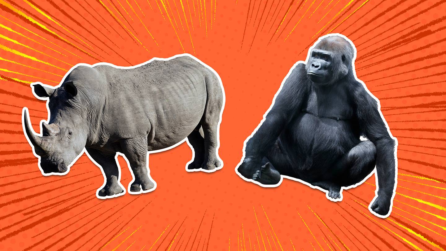 8 Animals People Didnât Think Were Real